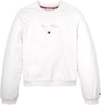 Mikiny Tommy Hilfiger  KG0KG08194 YBH