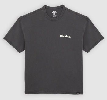 Tričká s krátkym rukávom Dickies  SLAYDEN GD