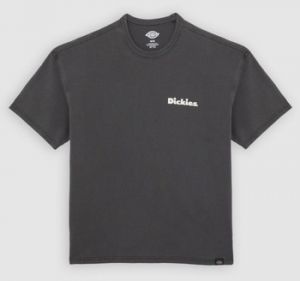 Tričká s krátkym rukávom Dickies  SLAYDEN GD