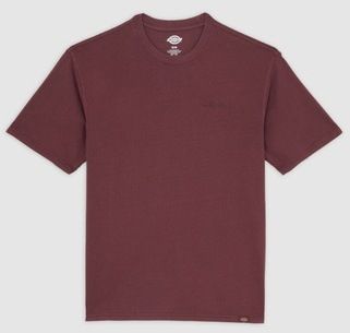 Tričká s krátkym rukávom Dickies  SLAYDEN GD