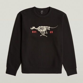 Mikiny G-Star Raw  RUNNING DOG BACK GR R S