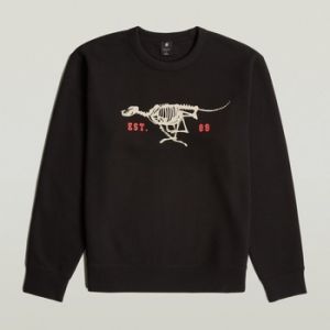 Mikiny G-Star Raw  RUNNING DOG BACK GR R S