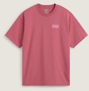 Tričká s krátkym rukávom Vans  EARTHBOUND LOOSE FIT S
