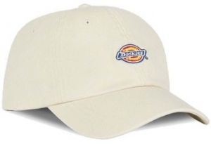 Šiltovky Dickies  HARDWICK