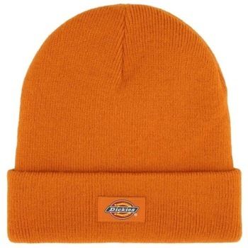 Čiapky Dickies  GIBSLAND BEANIE