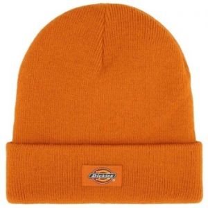 Čiapky Dickies  GIBSLAND BEANIE