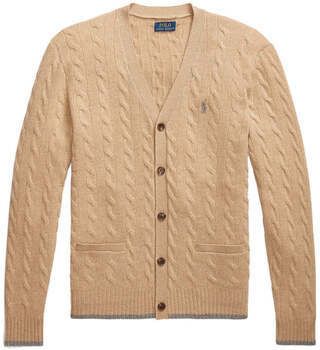 Svetre Polo Ralph Lauren  -