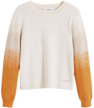 Svetre Desigual  JERS_FAMA 25WWJF24