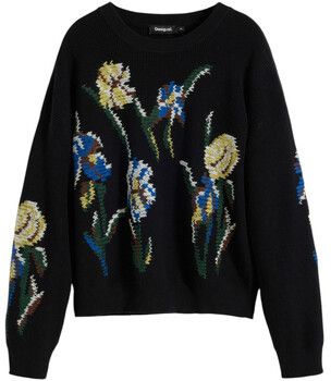 Svetre Desigual  JERS_COOPER 25WWJF36