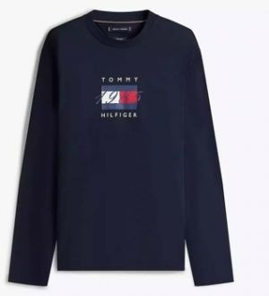 Tričká s dlhým rukávom Tommy Hilfiger  LINEAR FLAG GRAPHIC LS T