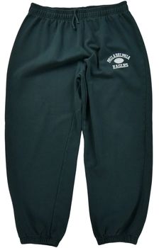 Tepláky/Vrchné oblečenie Reebok Sport  195686