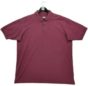 Polokošele s krátkym rukávom Dickies  204302
