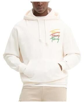 Mikiny Tommy Hilfiger  DM0DM21372 YBH