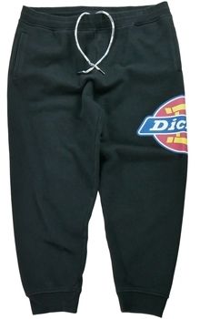 Tepláky/Vrchné oblečenie Dickies  230581