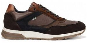 Nízke tenisky Fluchos  SNEAKERS  F1959
