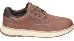Derbie Skechers  205234-BRN