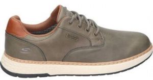 Derbie Skechers  205234-OLV