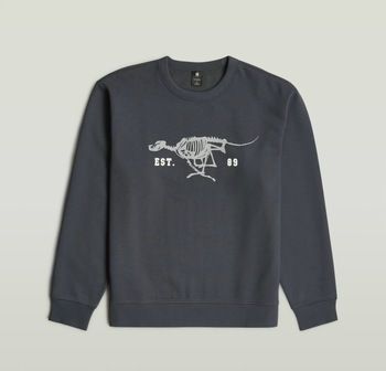 Svetre G-Star Raw  RUNNING DOG BACK GR R S