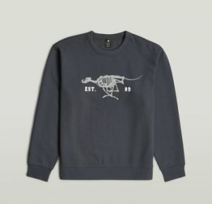 Svetre G-Star Raw  RUNNING DOG BACK GR R S