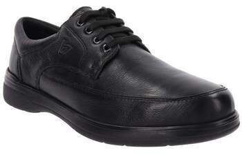 Derbie Valleverde  VV36823