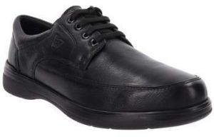 Derbie Valleverde  VV36823