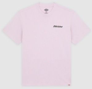 Tričká s krátkym rukávom Dickies  STATESVILLE TEE
