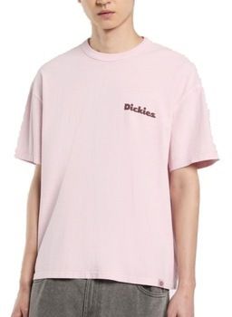 Tričká s krátkym rukávom Dickies  SLAYDEN GD TEE