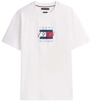 Tričká s krátkym rukávom Tommy Hilfiger  LINEAR FLAG GRAPHIC TEE