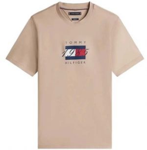 Tričká s krátkym rukávom Tommy Hilfiger  LINEAR FLAG GRAPHIC TEE