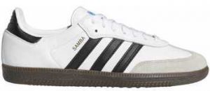 Skate obuv adidas  Samba adv