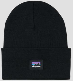 Čiapky Patagonia  Everyday Beanie