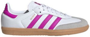 Nízke tenisky adidas  Samba OG Footwear White Purple (Kids)