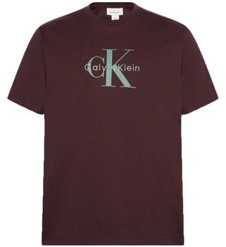Tričká s krátkym rukávom Calvin Klein Jeans  HERO MONOLOGO TEE 20S