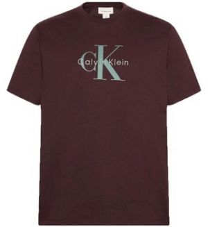 Tričká s krátkym rukávom Calvin Klein Jeans  HERO MONOLOGO TEE 20S