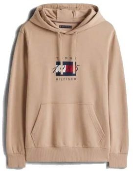 Mikiny Tommy Hilfiger  LINEAR FLAG GRAPHIC HOOD