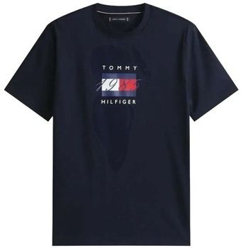Tričká s krátkym rukávom Tommy Hilfiger  LINEAR FLAG GRAPHIC TEE