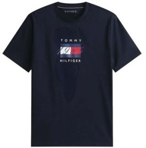 Tričká s krátkym rukávom Tommy Hilfiger  LINEAR FLAG GRAPHIC TEE