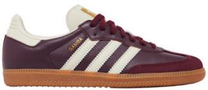 Nízke tenisky adidas  Samba OG Maroon Gold Metallic (Women's)