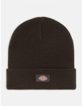 Čiapky Dickies  Gibsland beanie