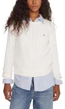 Svetre Tommy Hilfiger  TJW CABLE ESSENTIAL DW0DW22165