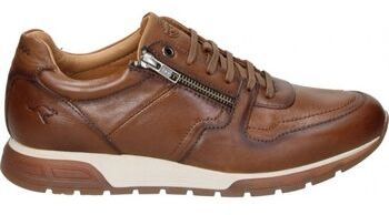 Nízke tenisky Kangaroos  933-13