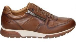 Nízke tenisky Kangaroos  933-13