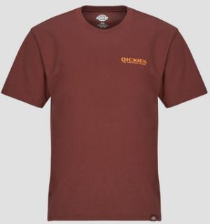 Tričká s krátkym rukávom Dickies  BURNS TEE SS ANDORRA