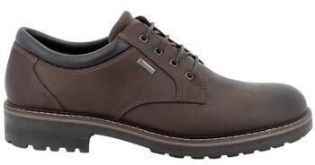 Derbie IgI&CO  -