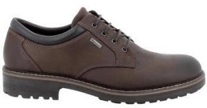 Derbie IgI&CO  -