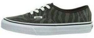 Derbie Vans  Baskets U AUTHENTIC
