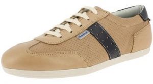 Derbie Himalaya  Baskets