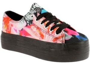 Derbie Sixty Seven  Baskets
