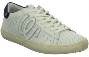 Derbie Wrangler  Baskets