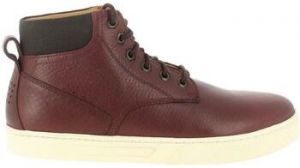 Polokozačky TBS  Bottines VECTORS
